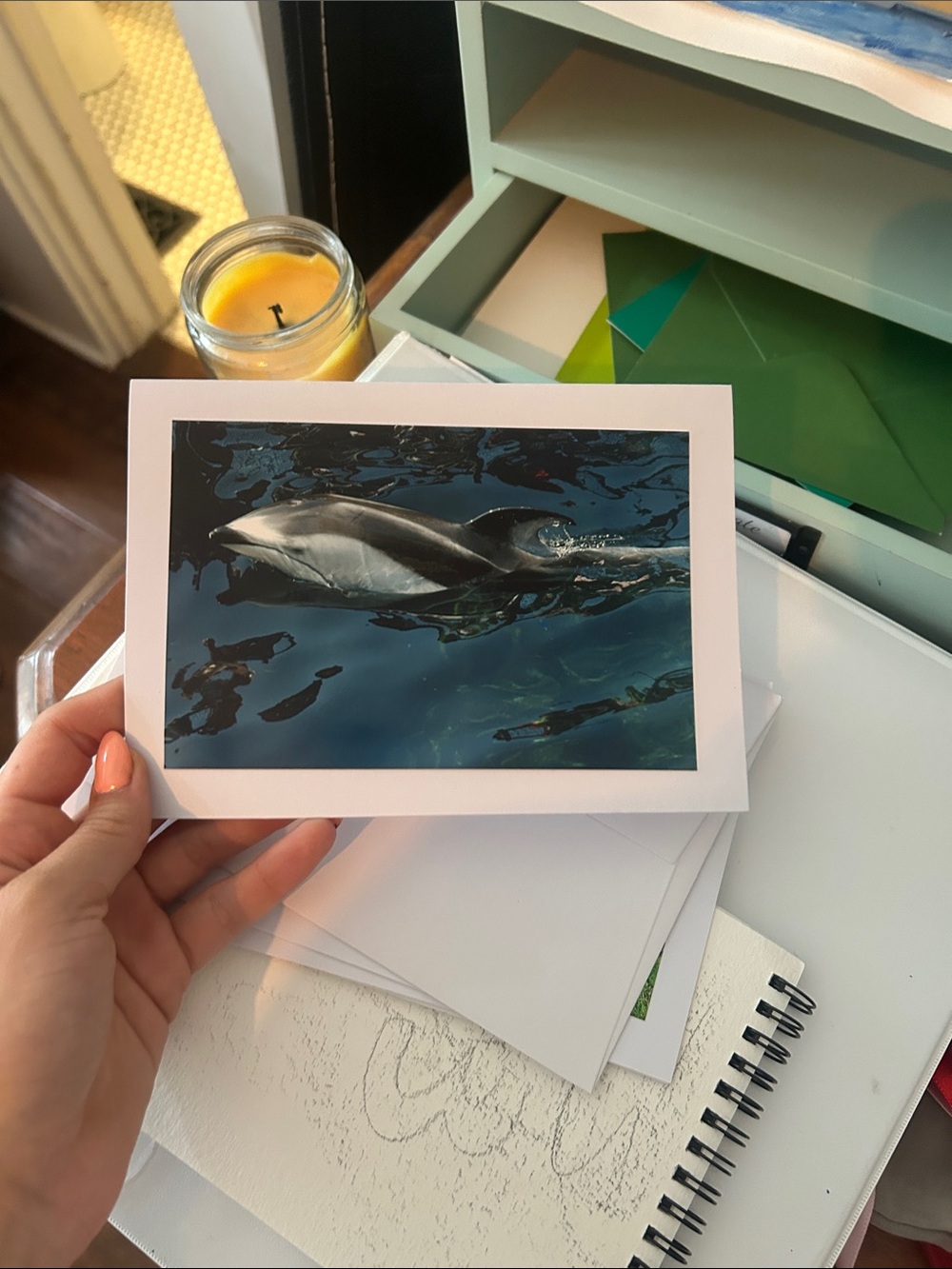 Dolphin Art Print Greeting Card - Blue